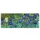 Mobigear Anti-Slip Tapis de souris - 40 x 90 cm - Irises