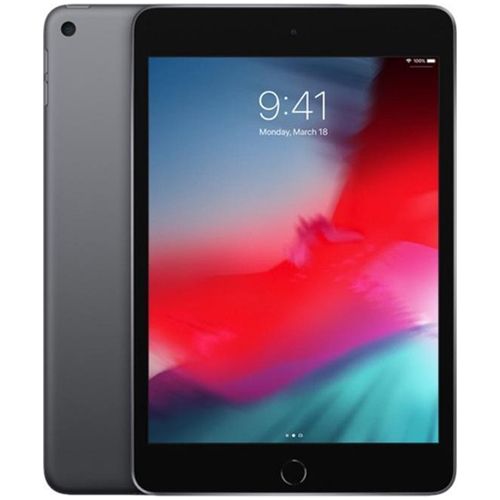 iPad Mini 5 (2019) (7,9 pouces)