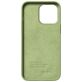 Nudient Bold Coque iPhone 14 Pro Max Coque arrière Rigide - Leafy Green