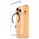 CARE by PanzerGlass Flagship Coque iPhone 17 Pro Max MagSafe Coque arrière Rigide - Transparent / Noir
