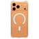 CARE by PanzerGlass Fashionable Coque Transparente iPhone 17 Pro Max MagSafe Coque arrière en Silicone - Transparent